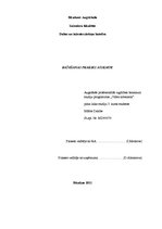 Prakses atskaite 'Ražošanas prakses atskaite SIA "Rēzeknes namsaimnieks"', 1.