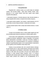 Prakses atskaite 'Ražošanas prakses atskaite SIA "Rēzeknes namsaimnieks"', 9.