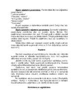 Konspekts 'Sīpoli', 7.