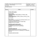 Konspekts 'Klājsijas un kolonnas aprēķins tērauda konstrukcijās', 10.