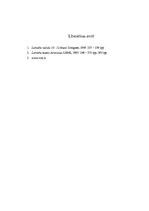 Referāts 'Vai latviešu valoda ir apdraudēta?', 3.