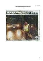 Referāts 'Ciltskoka paraugs ar prezentāciju', 17.