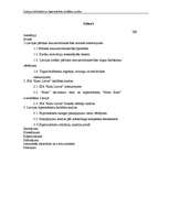 Diplomdarbs 'Latvijas lielveikalu un hipermārketu stratēģijas analīze', 3.