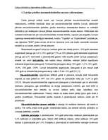 Diplomdarbs 'Latvijas lielveikalu un hipermārketu stratēģijas analīze', 8.