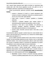 Diplomdarbs 'Latvijas lielveikalu un hipermārketu stratēģijas analīze', 11.