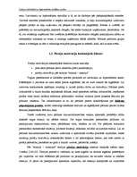 Diplomdarbs 'Latvijas lielveikalu un hipermārketu stratēģijas analīze', 14.