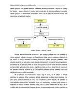 Diplomdarbs 'Latvijas lielveikalu un hipermārketu stratēģijas analīze', 15.