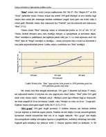 Diplomdarbs 'Latvijas lielveikalu un hipermārketu stratēģijas analīze', 20.