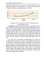 Diplomdarbs 'Latvijas lielveikalu un hipermārketu stratēģijas analīze', 21.