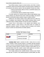 Diplomdarbs 'Latvijas lielveikalu un hipermārketu stratēģijas analīze', 27.