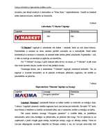 Diplomdarbs 'Latvijas lielveikalu un hipermārketu stratēģijas analīze', 29.