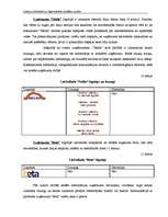 Diplomdarbs 'Latvijas lielveikalu un hipermārketu stratēģijas analīze', 31.