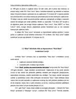 Diplomdarbs 'Latvijas lielveikalu un hipermārketu stratēģijas analīze', 37.