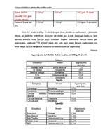 Diplomdarbs 'Latvijas lielveikalu un hipermārketu stratēģijas analīze', 42.