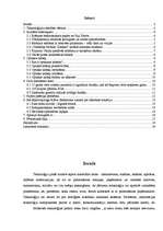 Referāts 'Modernās tehnoloģijas jauniešu dzīvē', 2.