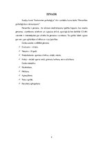 Konspekts 'Personības psiholoģiskais raksturojums', 4.