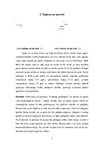 Konspekts 'Personības psiholoģiskais raksturojums', 7.