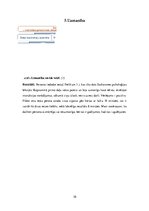 Konspekts 'Personības psiholoģiskais raksturojums', 10.