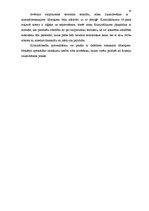 Referāts 'Terorisma jēdziens krimināllikumā', 14.