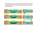 Referāts 'Minerālmēsli, to nozīme augu dzīvē un iedarbība uz apkārtējo vidi', 24.