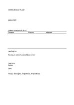 Paraugs 'Klīniskais protokols', 4.