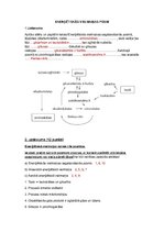 Konspekts 'Enerģētiskās vielmaiņas posmi', 1.
