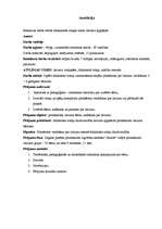 Referāts 'Didaktiskā rotaļa priekšstata veidošanai par lielumu 3-4 gadīgiem bērniem', 2.