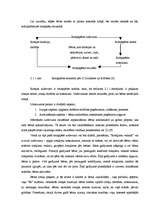 Referāts 'Didaktiskā rotaļa priekšstata veidošanai par lielumu 3-4 gadīgiem bērniem', 10.