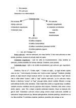 Referāts 'Didaktiskā rotaļa priekšstata veidošanai par lielumu 3-4 gadīgiem bērniem', 16.