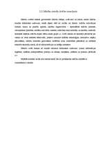 Referāts 'Didaktiskā rotaļa priekšstata veidošanai par lielumu 3-4 gadīgiem bērniem', 27.