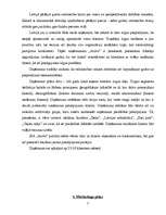 Biznesa plāns 'Biznesa plāns', 7.