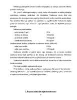 Biznesa plāns 'Biznesa plāns', 8.