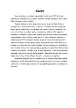 Referāts 'Korporatīvais internets', 3.