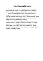 Referāts 'Korporatīvais internets', 4.