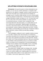 Referāts 'Korporatīvais internets', 5.