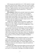 Referāts 'Korporatīvais internets', 6.