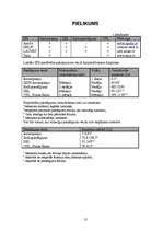 Referāts 'Korporatīvais internets', 10.