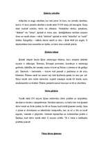 Referāts 'Ķīna', 3.