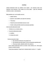 Referāts 'Ēnu ekonomika Latvijā', 2.