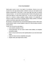 Referāts 'Ēnu ekonomika Latvijā', 6.