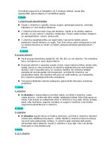 Prezentācija 'Vitamīni', 2.