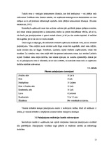 Biznesa plāns 'Viesu nama biznesa plāns', 13.