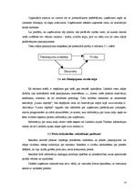 Biznesa plāns 'Viesu nama biznesa plāns', 14.