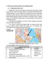Biznesa plāns 'Skābekļa bārs', 37.