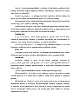 Biznesa plāns 'Skābekļa bārs', 41.