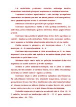 Referāts 'Restorāna dibināšana', 8.