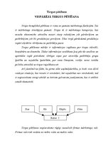 Referāts 'Restorāna dibināšana', 42.