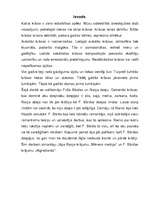 Eseja 'Krāsu simbolisms Raiņa un Friča Bārdas dzejā', 2.