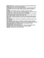 Konspekts 'Mārketinga termini', 2.