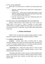 Konspekts 'Civilās aizsadrzības plāna fragments', 3.